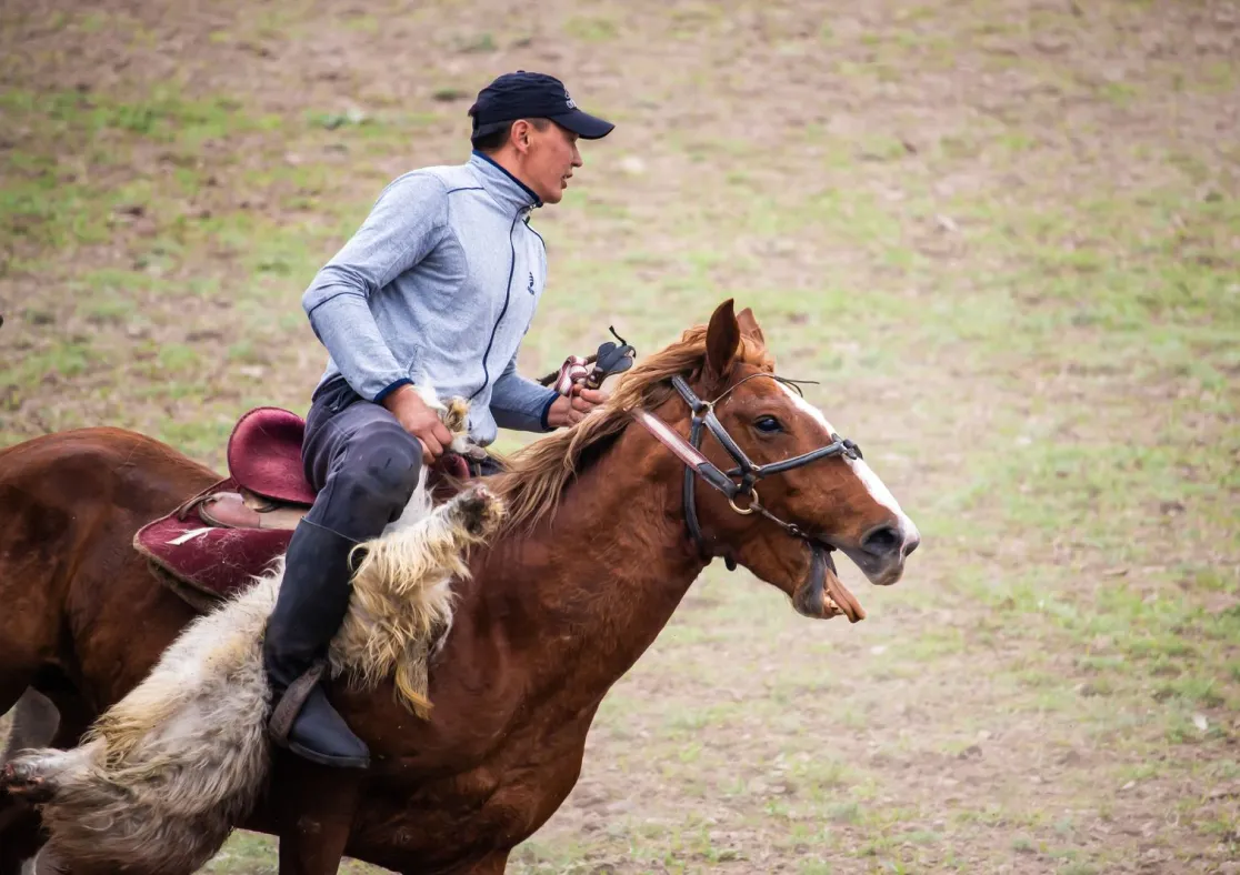 The rider participates in the initial Kyrgyz kok-boru game
